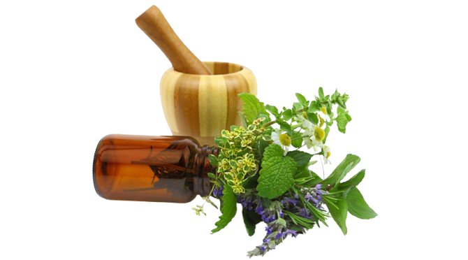 About Ayurveda